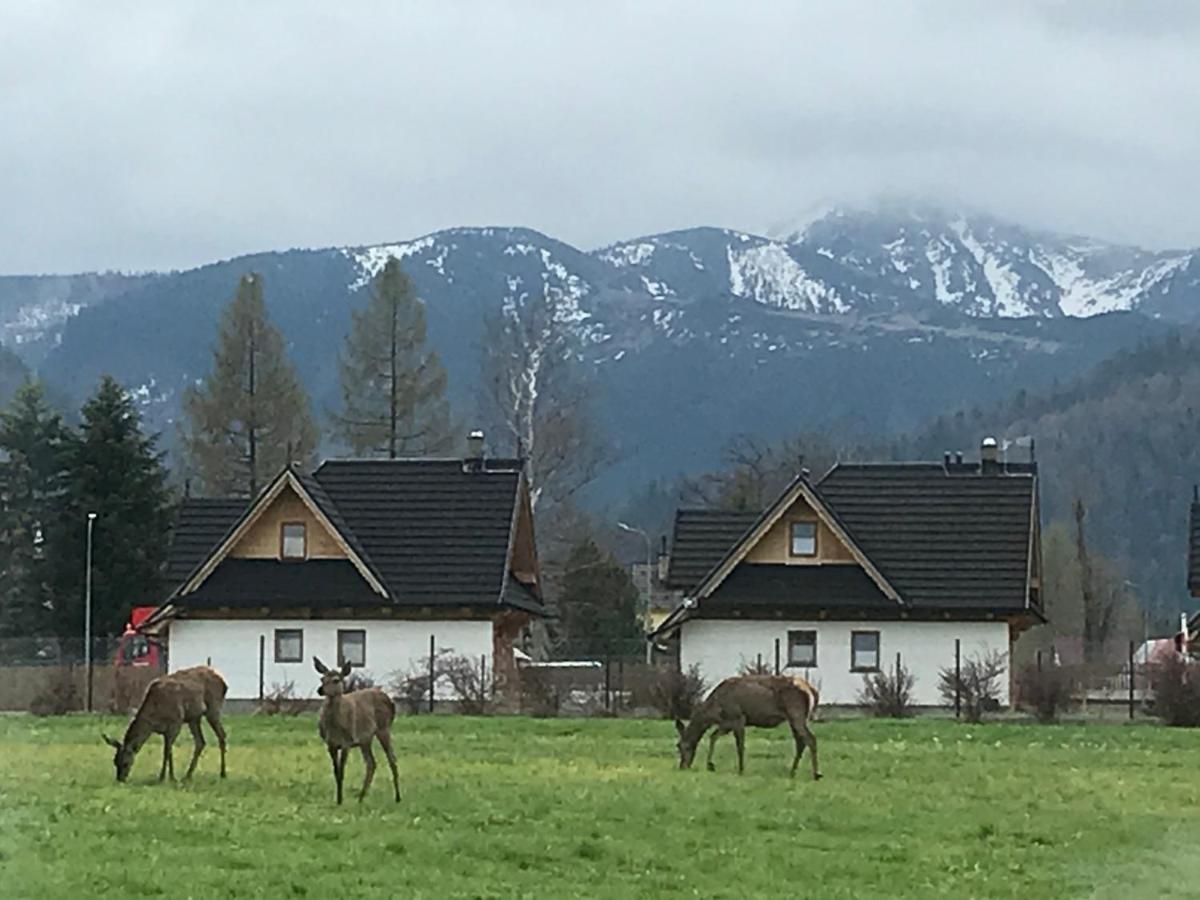 Camping Zakopane Willa Skoczek Oferta Nie Dotyczy Noclegu W Pokoju ,W Namiocie Reczniki Woda Mineralna , Koldra Poduszki Lub Spiwory Exterior foto