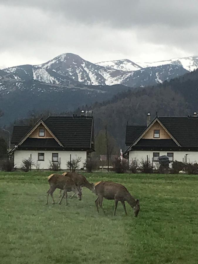 Camping Zakopane Willa Skoczek Oferta Nie Dotyczy Noclegu W Pokoju ,W Namiocie Reczniki Woda Mineralna , Koldra Poduszki Lub Spiwory Exterior foto