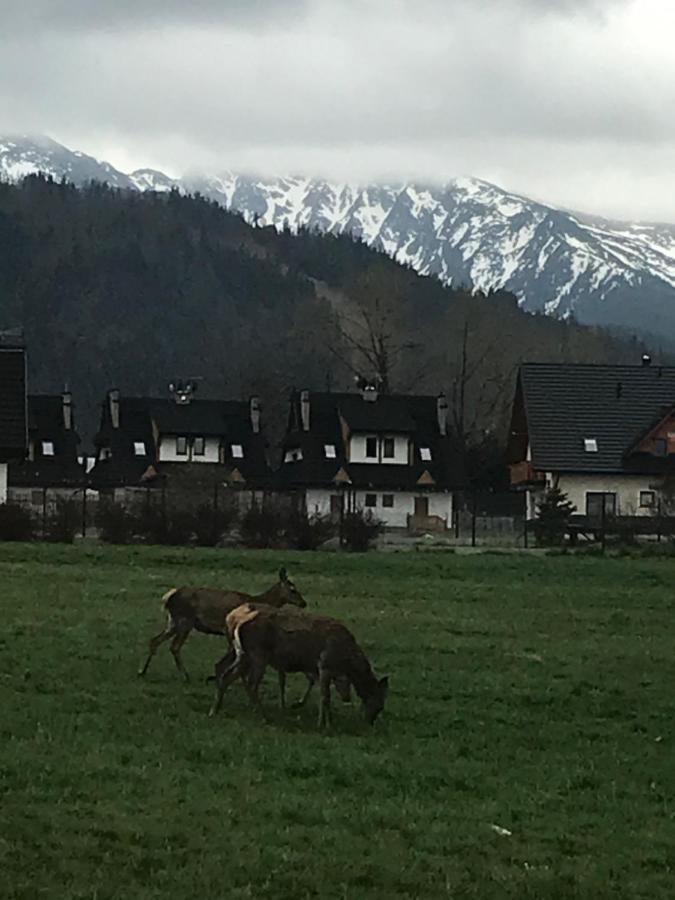 Camping Zakopane Willa Skoczek Oferta Nie Dotyczy Noclegu W Pokoju ,W Namiocie Reczniki Woda Mineralna , Koldra Poduszki Lub Spiwory Exterior foto